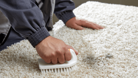 Professional Rug Cleaning Edithvale