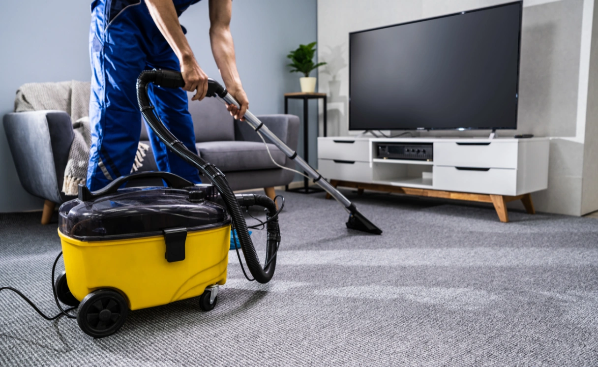 Extract Rug Cleaning Edithvale Contact Office